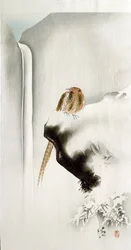 Ein Fasan auf einer Klippe, mit einem Wasserfall im Hintergrund, 1907